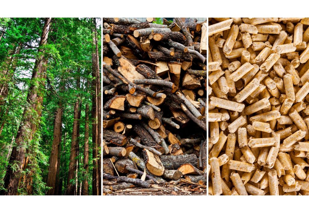 Stufe a pellet: riscaldamento rinnovabile